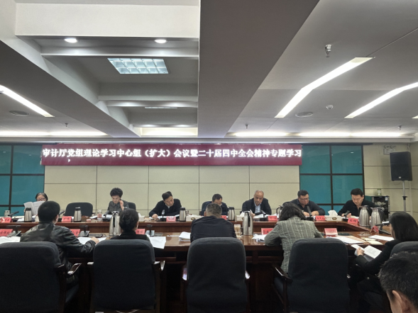 自治区审计厅党组召开扩大会议学习贯彻党的二十届四中全会精神