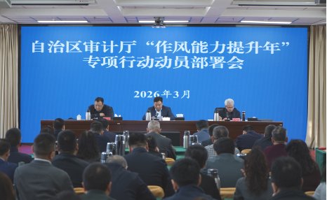 自治区审计厅召开“作风能力提升年”专项行动动员部署会