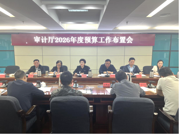 自治区审计厅召开2026年度预算工作布置会