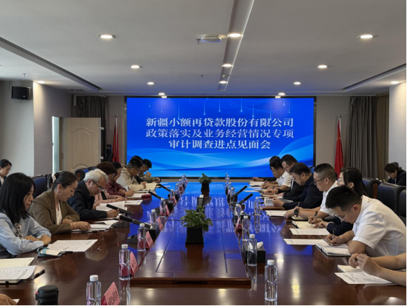 自治区审计厅召开新疆小额再贷款股份有限公司政策落实及业务经营专项审计调查进点见面会